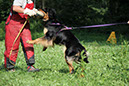 IMG_0501