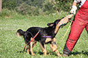 IMG_0633