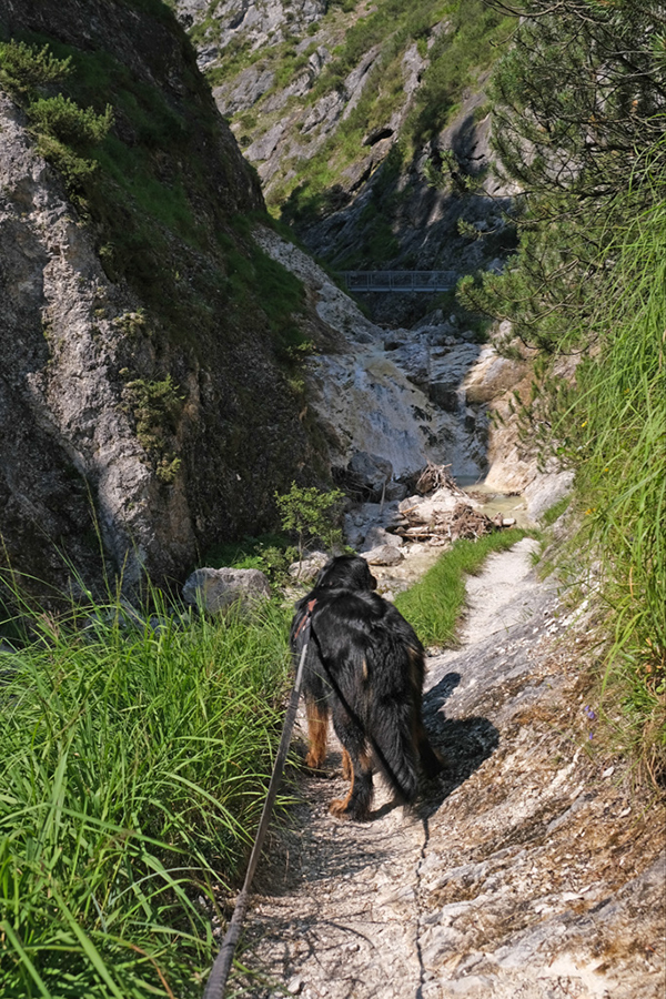 %_tempFileNameaschauerklamm6%
