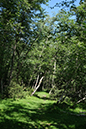 %_tempFileNameiseltrail_tag1_11%