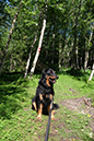 %_tempFileNameiseltrail_tag1_12%