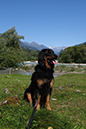 %_tempFileNameiseltrail_tag1_14%