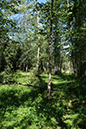 %_tempFileNameiseltrail_tag1_16%