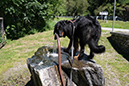 %_tempFileNameiseltrail_tag1_18%