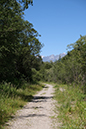 %_tempFileNameiseltrail_tag1_21%