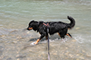 %_tempFileNameiseltrail_tag1_24%