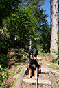 %_tempFileNameiseltrail_tag1_4%