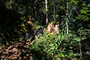 %_tempFileNameiseltrail_tag1_5%