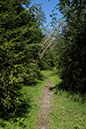 %_tempFileNameiseltrail_tag1_7%