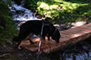 %_tempFileNameiseltrail_tag1_8%