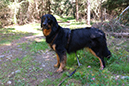 %_tempFileNameiseltrail_tag2_15%