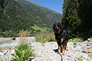 %_tempFileNameiseltrail_tag2_16%