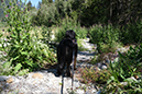 %_tempFileNameiseltrail_tag2_17%