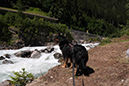 %_tempFileNameiseltrail_tag2_20%