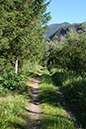 %_tempFileNameiseltrail_tag2_3%