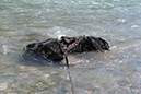 %_tempFileNameiselztrail_tag3_10%