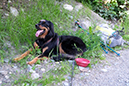 %_tempFileNameiselztrail_tag3_15%