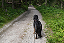 %_tempFileNameiselztrail_tag3_16%