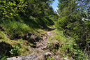 %_tempFileNameiselztrail_tag3_17%