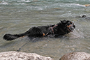 %_tempFileNameiselztrail_tag3_20%