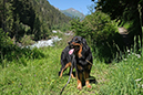 %_tempFileNameiselztrail_tag3_8%