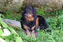 %_tempFileNameiseltrail_tag4_15%