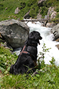 %_tempFileNameiseltrail_tag4_23%