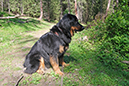 %_tempFileNameiseltrail_tag4_6%