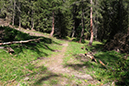 %_tempFileNameiseltrail_tag4_7%