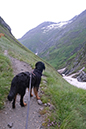 %_tempFileNameiseltrail_tag5_3%