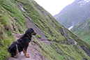 %_tempFileNameiseltrail_tag5_5%