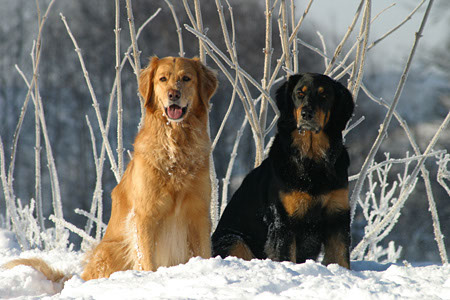 winter1