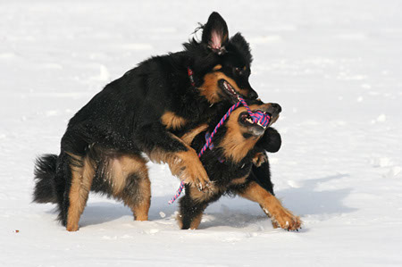 winter11