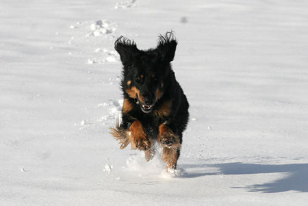 winter12
