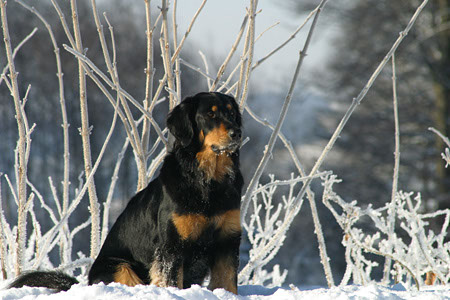 winter13