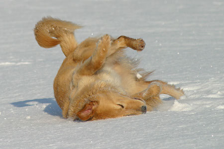 winter21