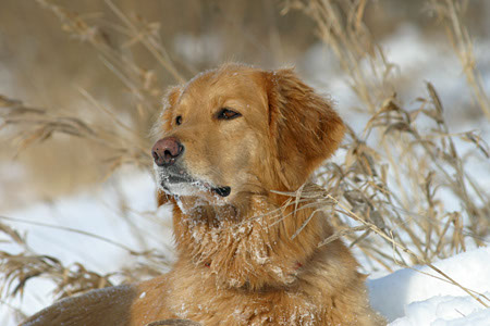 winter27