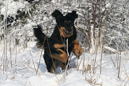 winter3