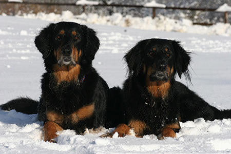 winter32