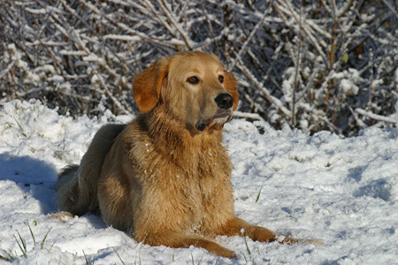 winter33