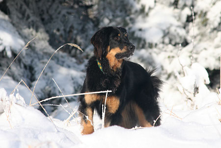 winter38