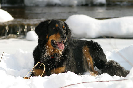 winter4