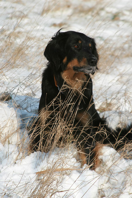 winter40