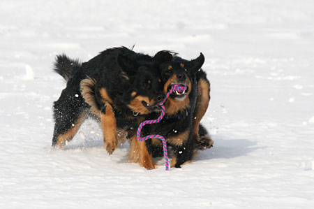 winter6