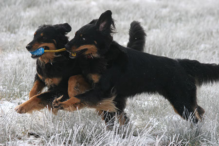 winter8
