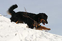 winter30