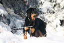 winter38