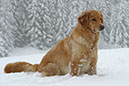 winter56