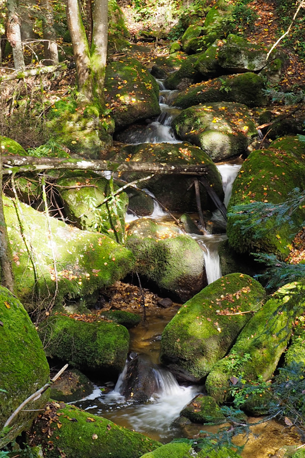 %_tempFileNamewolfsschlucht19%