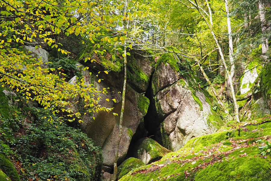 %_tempFileNamewolfsschlucht21%